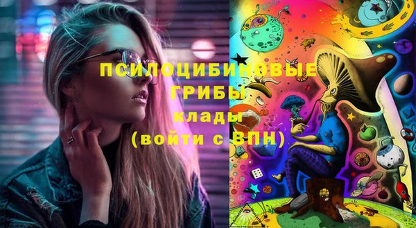 спиды Абаза