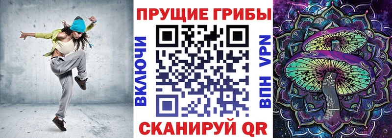 Галлюциногенные грибы Psilocybe  купить наркоту  Заринск 